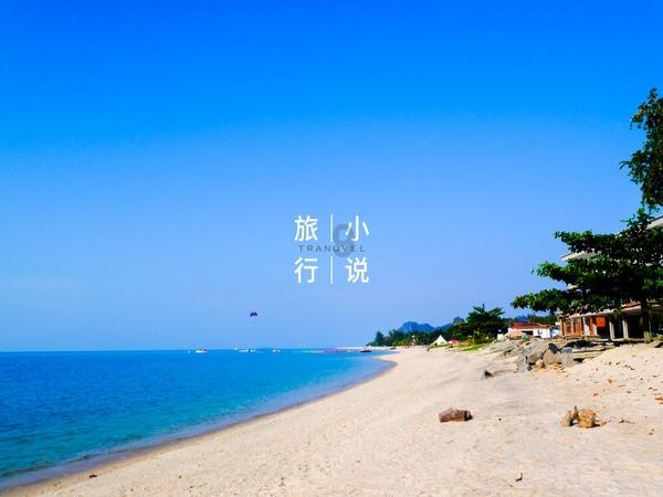 萌犬找不同